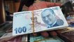 The Turkish Lira Has Plummeted 38% This Year: What Investors Need to Know
