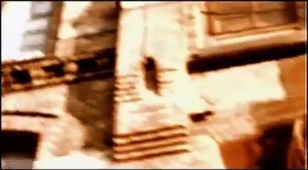 Experience the Magic of the Gala — Free from Desire ✨