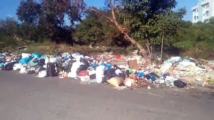 A pesar de nuevos camiones, basura arropa a SDE