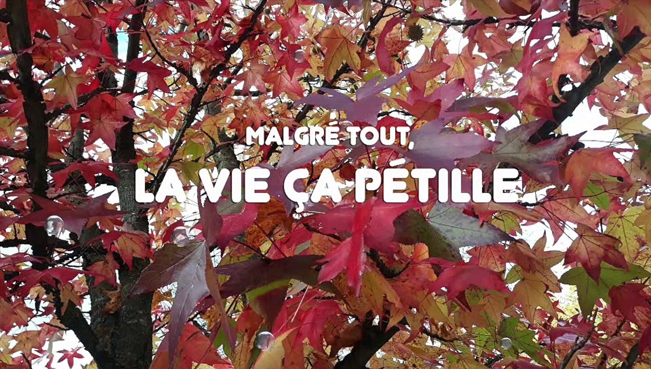 La vie, ça pétille.