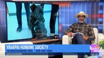 Yavapai Humane Society on Holiday Pet Safety Plus Two Adorable Dogs Looking for Love!