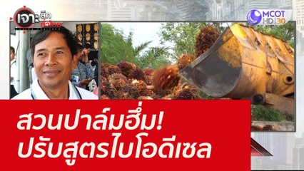สวนปาล์มฮึ่ม! ปรับสูตรไบโอดีเซล : เจาะลึกทั่วไทย (25 พ.ย. 64)