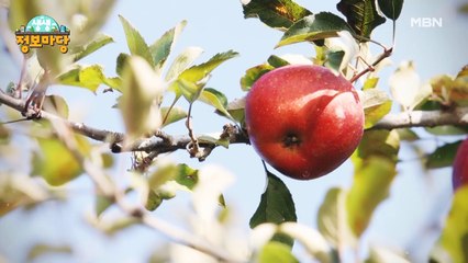 생생 정보마당 [997회]