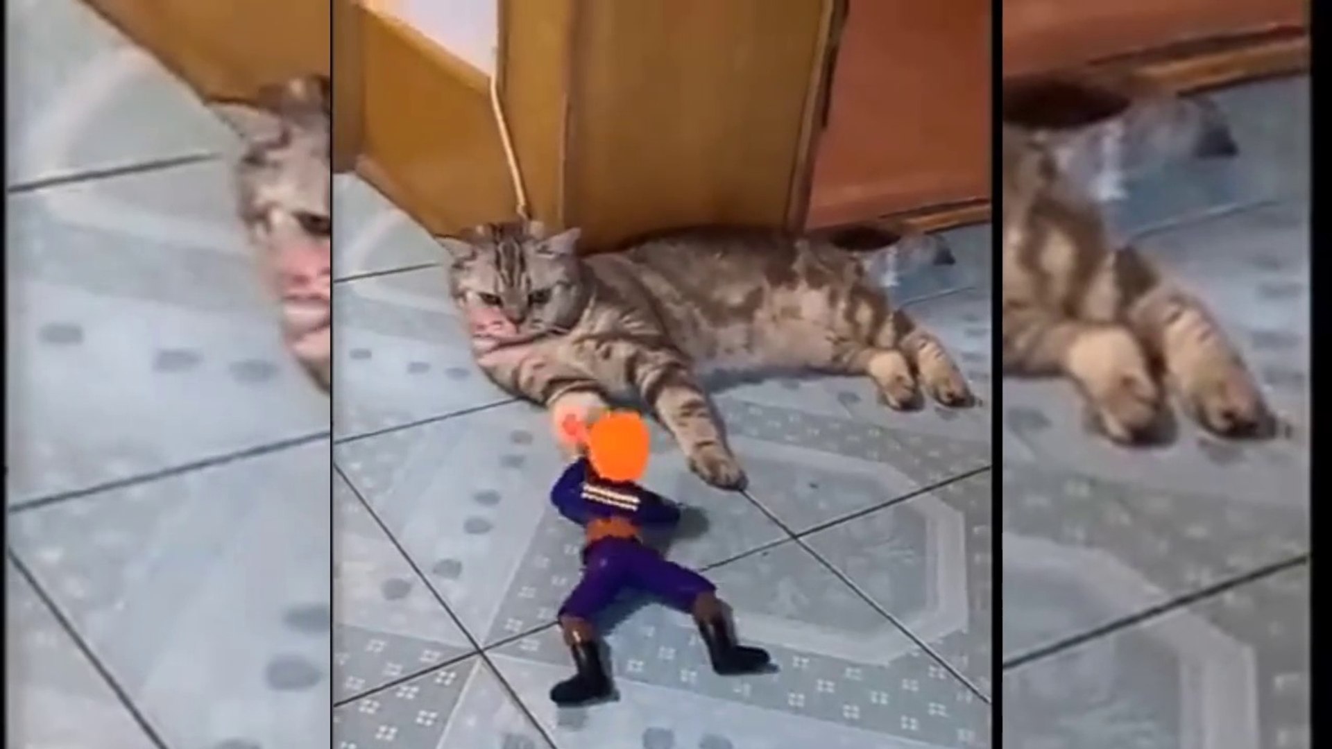 ⁣Funny Cute Pets Vedios