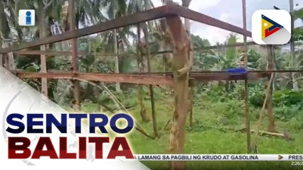 100 sqm na lupa, ipapa-raffle para sa mga bakunadong residente sa isang barangay sa Sorsogon; 20 barangay na may pinakamaraming nabakunahan, may P1-M incentive
