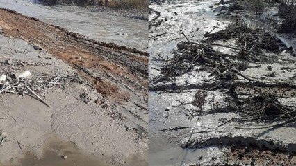 TTB Şebinkarahisar değerlendirmesi: Uyarılar dikkate alınmadı. Çevre felaketi yaşandı