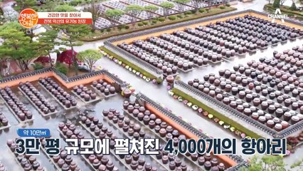 전통 항아리와 현대 과학의 만남! 익산 유기농 된장