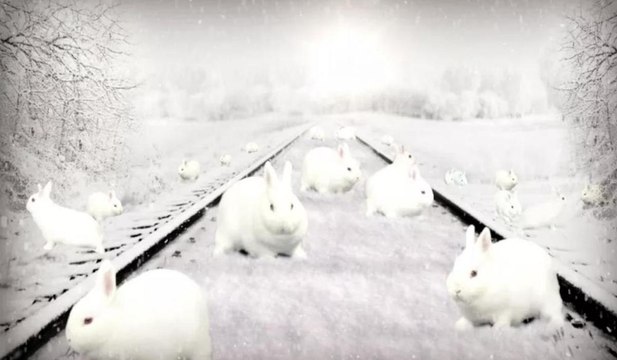 Illusion d’optique, trouverez-vous le nombre de lapins blancs qui se cachent sur cette photo