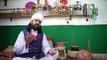 Heer Waris Shah Poetry 2021 - نکل کوٹھیوں ترت تیار ہویا - Husnain Akbar