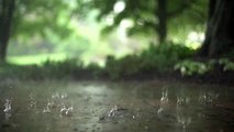 Relaxing Rain and Thunder Sounds, sleep Faster,  Insomnia heal , Relaxation Sounds