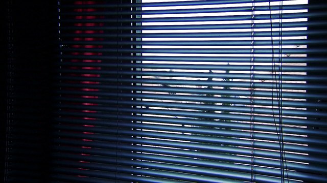 25-N, informes e iniciativas en el Día contra la Violencia de Género