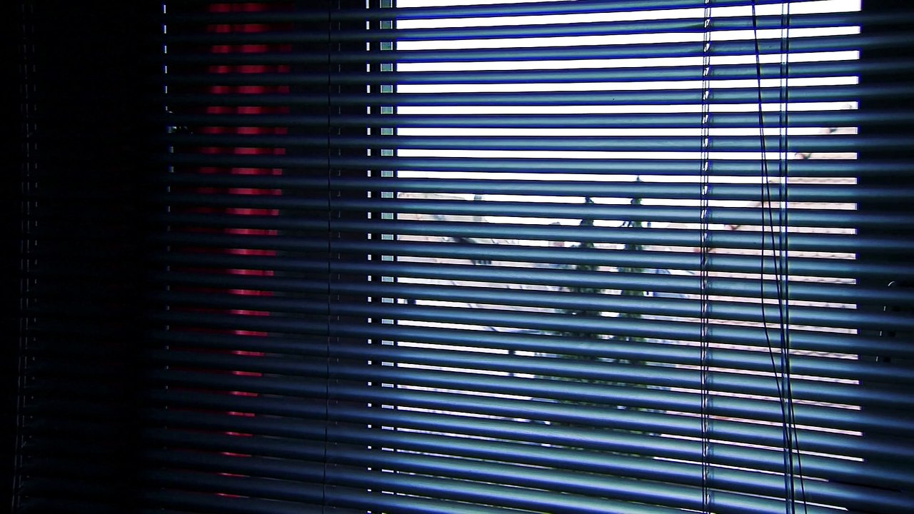 25-N, informes e iniciativas en el Día contra la Violencia de Género