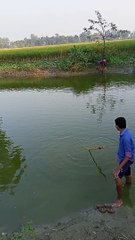 মাছ ধরার দৃশ্য। গ্রামীন পরিবেশে