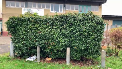 Withywood named as area in Bristol with lowest life expectancy for women