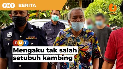 Warga emas mengaku tak salah bersetubuh dengan kambing