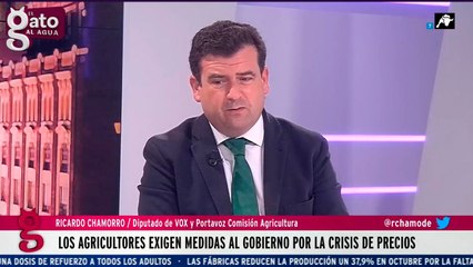 Entrevista completa Ricardo Chamorro en El Gato al Agua | 24/11/21