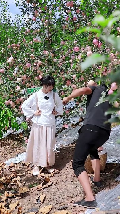 picking pears and make a jar of meat and peas buns
