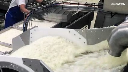 6 Millionen Kilo Käse: Zypern sitzt auf Halloumi-Berg