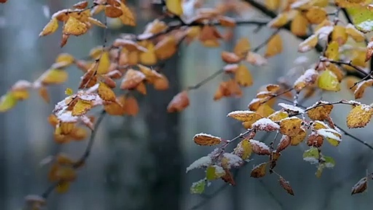 Laut Horoskop: Diese 3 Sternzeichen lieben den Winter