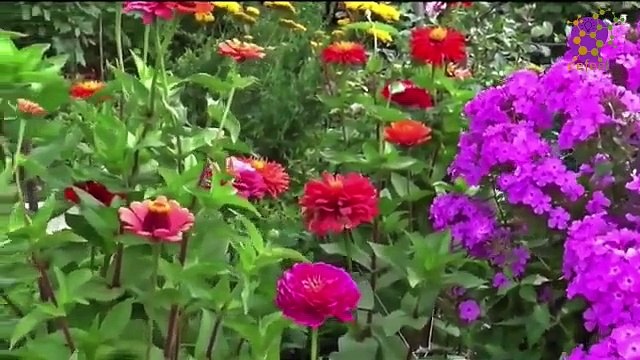 15 Minute Healing Music for Self-love | Nature | Focus | Concentration | Stress-Relief | Serene | Joyful | Positive Energy | Study