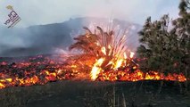 Imágenes registradas de la nueva colada de lava en La Palma
