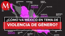 Alertas de violencia de género en México_ Fabiola Alanís, Titular de Conavim