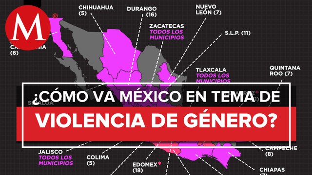 Alertas de violencia de género en México_ Fabiola Alanís, Titular de Conavim