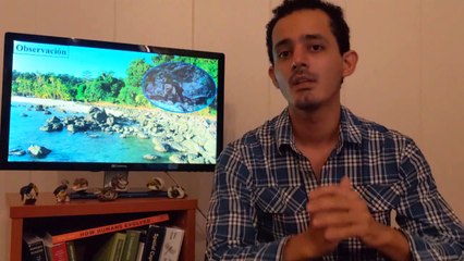 10°Media | Biología 18-11-2021