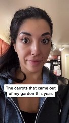 A Series of Funny-Shaped Carrots