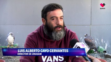 ¿Qué hago si encuentro algún animal salvaje?