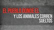 El pueblo donde el miedo y los animales corren sueltos