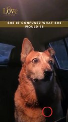 She is confused what she would be