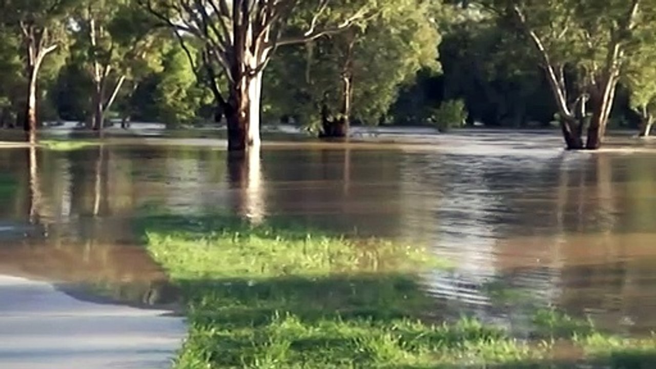 Residents in north-west NSW preparing for flooding as river levels rise