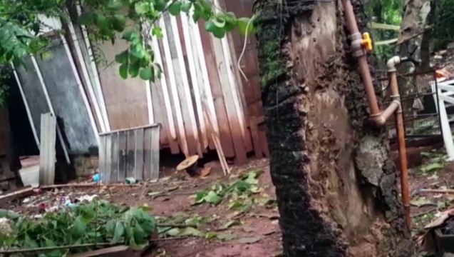 Casas em fundo de vale ficam destruídas após queda de árvores