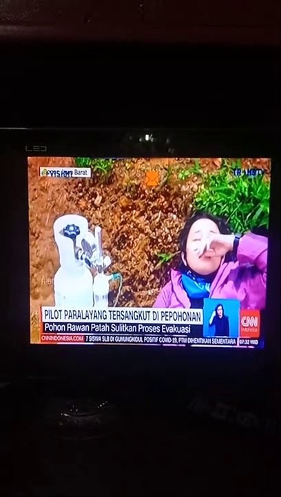 Pilot Para layang Tersangkut di Pohon