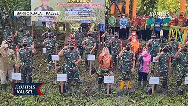 Gencarkan Revolusi Hijau, Korem 101/Antasari Tanam Mangrove Rambai di Pulau Bakut Habitat Bekantan