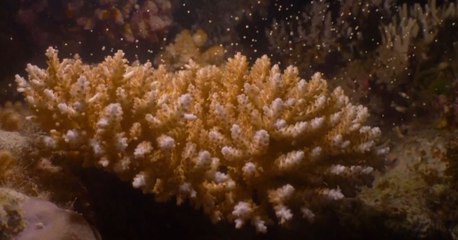 ข่าวเช้า ช่วงที่ 3 วันศุกร์ที่ 26 พฤศจิกายน 2564