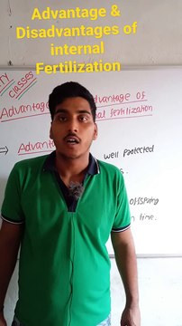 Advantage & Disadvantages of internal fertilization | Advantage & Disadvantages of internal fertilization in Hindi #cityclasses