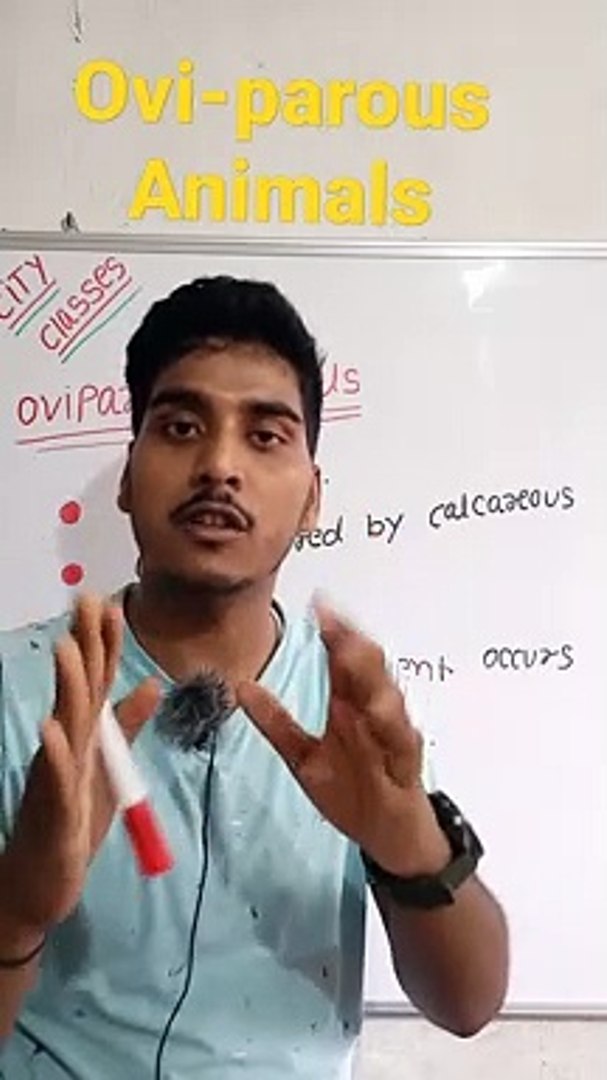 ⁣Oviparous animals | oviparous animals in Hindi | oviparous animals biology | what is oviparous anima