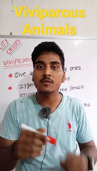 Viviparous animals | viviparous animals in Hindi | viviparous animals biology | what is viviparous animals #cityclasses