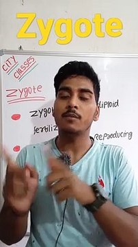Zygote | Zygote in Hindi | Zygote biology | what is zygote #cityclasses