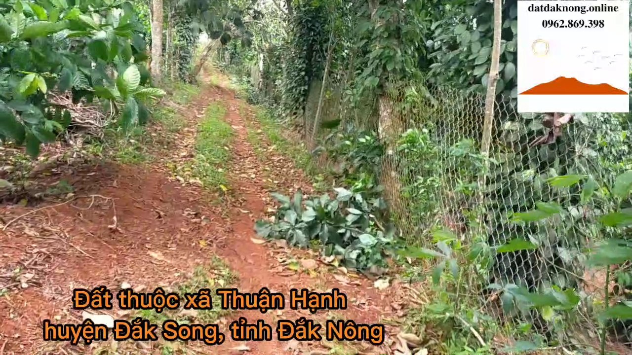 Đất Đắk Nông, diện tích 7.168 m2, phù hợp làm xưởng, cơ sở sản xuất, làm nông nghiệp