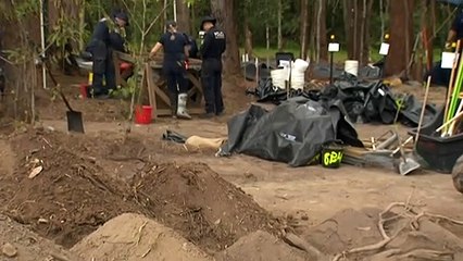 Search for William Tyrrell extended due to bad weather in NSW