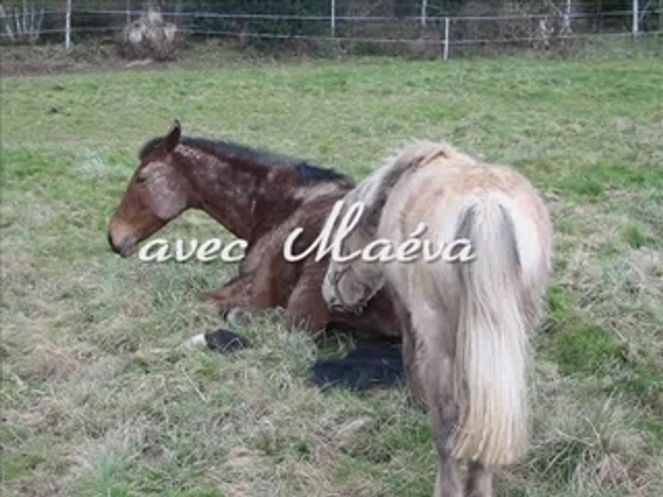 Visite du 03-03-08