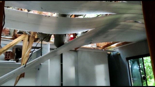 Casa fica destruída após queda de árvore no Brasmadeira e moradora pede ajuda