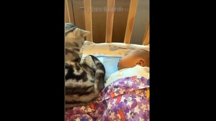 Funniest Pets Don'T Try To Hold Back Laughter