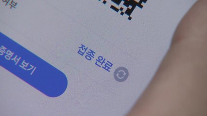 정부 "방역패스 유효기간 6개월 검토...29일 발표" / YTN