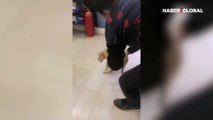 Yaralı bulduğu köpeğe yardım eden adamın görüntüleri yürek ısıttı