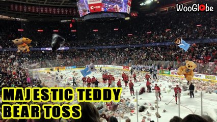'Teddy Bear Toss season in full swing following Calgary Hitmen's first goal of the game (December 2019)'