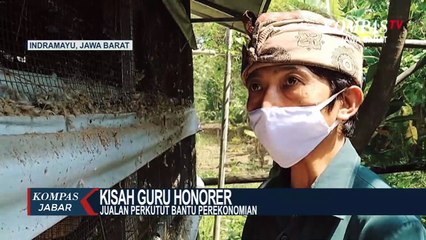 Ismail, Guru Honorer Penjual Burung Perkutut